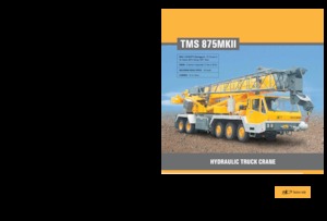 Teleskopske dizalice montirane na kamion Til TMS 875 MK II