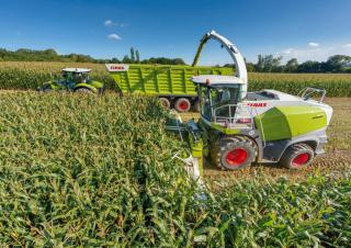 4WD krmni kombajni Claas Jaguar 850