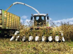 2WD krmni kombajni Claas Jaguar 890