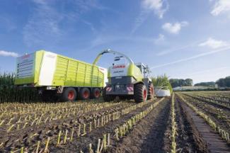 2WD krmni kombajni Claas Jaguar 900