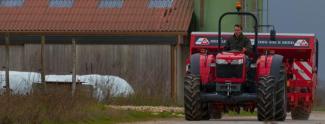 2WD traktori Massey Ferguson MF 3650 A