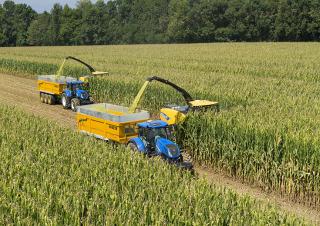 4WD krmni kombajni New Holland FR 650 