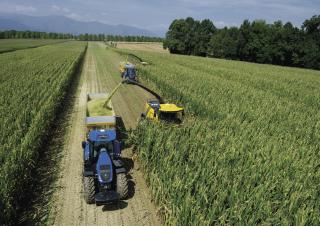 4WD krmni kombajni New Holland FR 780
