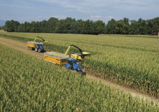 4WD krmni kombajni New Holland FR 780