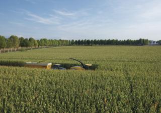 4WD krmni kombajni New Holland FR 780