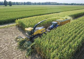 4WD krmni kombajni New Holland FR 780