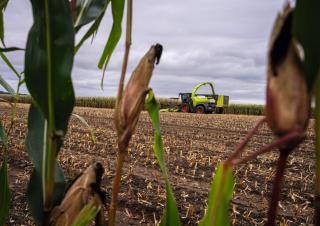 4WD krmni kombajni Claas Jaguar 1100