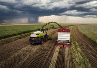 4WD krmni kombajni Claas Jaguar 1200