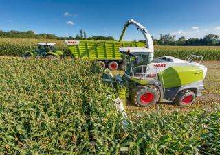 4WD krmni kombajni Claas Jaguar 830