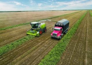 4WD krmni kombajni Claas Jaguar 980