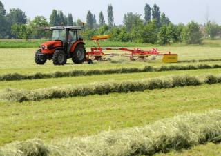 4WD traktori SAME Dorado NaturalL 50 