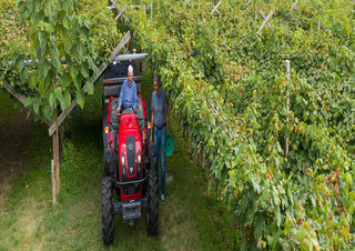 4WD traktori Valtra F105S