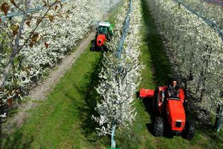 4WD traktori SAME Frutteto³ 110 DT
