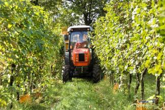 4WD traktori SAME Frutteto³ S 90.3 DT