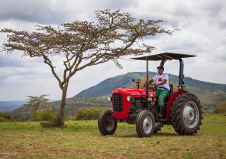 4WD traktori Massey Ferguson MF 35