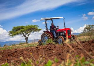 4WD traktori Massey Ferguson MF 35