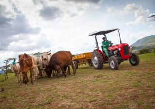 4WD traktori Massey Ferguson MF 35