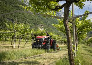 4WD traktori Massey Ferguson MF 3GE.95 