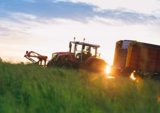 4WD traktori Massey Ferguson MF 8S.305 