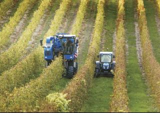 4WD traktori New Holland T 4.105 LP