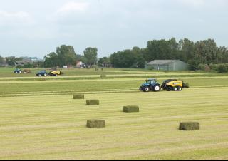 Balirke za četvrtaste bale New Holland BB 1290 S