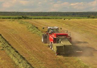 Balirke za četvrtaste bale Massey Ferguson MF 2190 TP