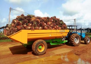 Transportne tehnologija Kiper prikolice Joskin TRANS-PALM 4500/7C65