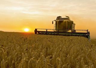Kombajni Fendt 5275 C Rice