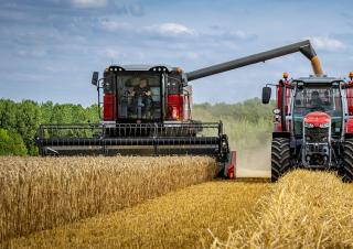 Kombajni Massey Ferguson Activa 7344-MCS
