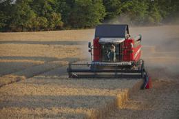 Kombajni Massey Ferguson Activa 7347 S