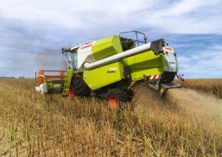 Kombajni Claas Avero 240