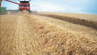 Kombajni Case IH Axial Flow 9120