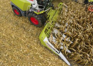 Priključci za kombajne Kombajni berači kukuruza Claas Corio 875 FC
