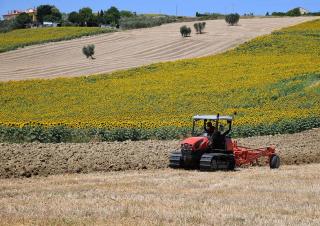 Kombajni DEUTZ-FAHR C 7205 Farmline