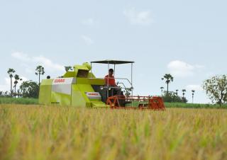 Kombajni Claas Crop Tiger 30 Terra Trac