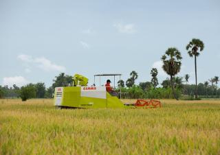 Kombajni Claas Crop Tiger 30 Terra Trac
