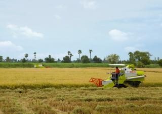 Kombajni Claas Crop Tiger 40 Terra Trac