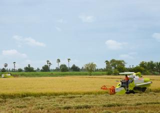 Kombajni Claas Crop Tiger 40 Terra Trac