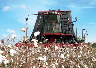 Kombajni Case IH Module Express 635