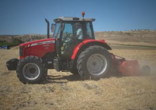 Malčeri Maschio Chiara 250 S