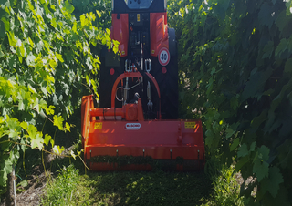 Malčeri Maschio Furba 160