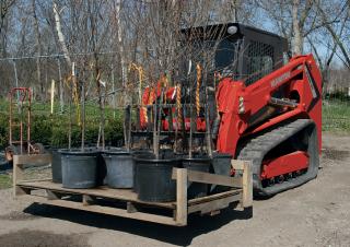 Mini utovarivači Manitou 2100RT NXT:3