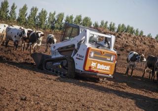 Mini utovarivači Bobcat T590