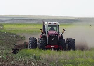 Pločasto-cinčana drljača Amazone Catros+ 6002-2