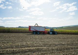 Prikolice za silažu Pöttinger Jumbo 6020 D