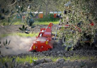 Roto drljače Maschio W 105