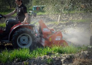 Roto drljače Maschio W 125