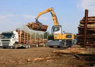 Rukovanje materijalom Liebherr LH 60 M Timber Litronic