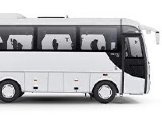 Autobusi i kabine Servisna vozila TEMSA PRESTIJ SX
