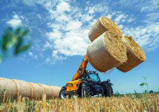 Teleskopski utovarivači Dieci Agri Farmer 30.9 GD
